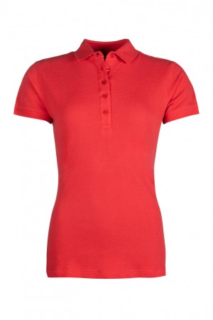 Polo -Elisa-