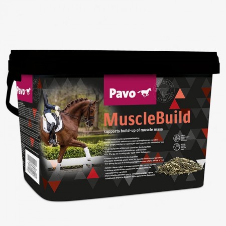 Pavo MuscleBuild