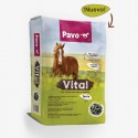Pavo Vital 20kg+ (Gastos de envío incluidos)