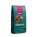 Pavo GutSecure + (Gastos de envío incluidos)
