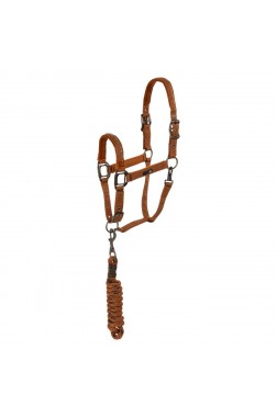 ANKY® halter and Lead stones ATH23001