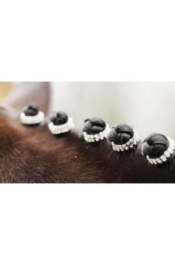 Gomas para crines -Crystal-