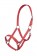 Cabezada -Innsbruck-