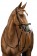 Cabezada  -Pro  Anatomic-