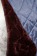 Manta de cuadra -Winter-