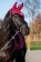 Mosquero -Sweet Valentine-