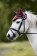Mosquero  -Dream  Team-