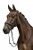 Cabezada  -Marrakesh-