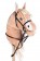 Gamarra -Hobby Horsing-
