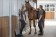 Polo hombre -Classico-