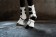 Protectores -Comfort Premium Fur II-