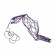 Red eno -Economic-