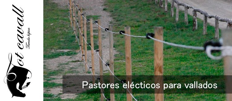 Comprar Pastor electrico online